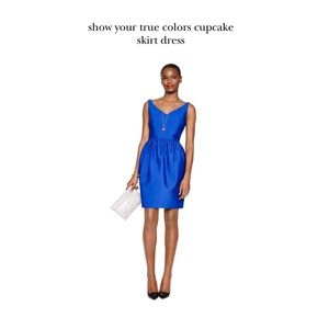 Kate Spade Show Your True Colors Cupcake Dress